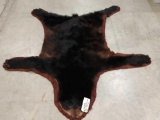 Flat Black Bear Rug Taxidermy