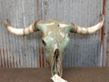 Brahma Bull Skull