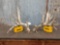 Upper 209 Class Whitetail Shed Antlers