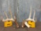 Nice Wild 150 Class Whitetail Shed Antlers