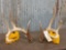 4x5 Whitetail Shed Antlers