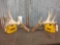 150 Class Whitetail Shed Antlers