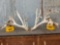 HUGE 300 Class Whitetail Shed Antlers