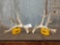 4x5 Whitetail Shed Antlers