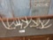 5 Single Whitetail Shed Antlers