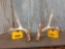 4x5 Whitetail Shed Antlers