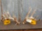 Big Heavy Mass Whitetail Shed Antlers