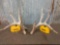 5x5 Whitetail Shed Antlers