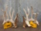 Cool 6x6 Whitetail Shed Antlers
