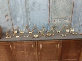 15 Small Sets Of Whitetail Antlers On Skull Plate