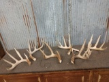 6 Nice Whitetail Shed Antlers