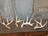 4 Single Whitetail Shed Antlers
