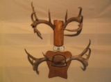 2 Sets of mounted whitetail shed antlers