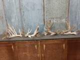 2 Big Sets Of Whitetail Cut Off Antlers
