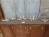4 Matched Sets Of Whitetail Shed Antlers
