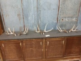 3 Nice Sets Of Whitetail Shed Antlers