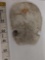 NICE Notched Flint Hoe Native American artifact