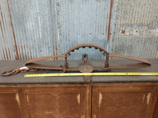 BIG Grizzly Bear Trap !