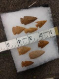 8 Small Arrowheads Native American Artifact