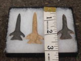 3 Drill Points Native American Artifact
