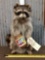 Raccoon Eating Peanut Butter Taxidermy Mount