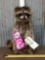 Raccoon Eating Good & Plenty Candy Taxidermy
