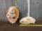 Black Bear & Javelina Skulls