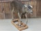 Mule Deer Doe Full Body Taxidermy Mount