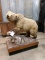 Grizzly Bear Full Body Taxidermy Mount