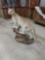 Mountain Lion Full Body Taxidermy Mount