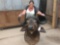 African Cape Buffalo Shoulder Mount Taxidermy