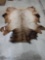 Soft Tanned Elk Skin Taxidermy