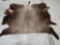 American Bison Buffalo Soft Tanned Robe