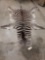 Tanned Zebra Skin Taxidermy