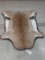 African Springbok Rug Taxidermy