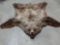 Grizzly Bear Rug Taxidermy