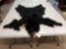 Tanned Black Bear Skin Taxidermy