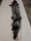 Soft Tanned Silver Fox Fur Taxidermy