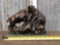 Bronze Bull & Bear Fighting Statue