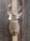 4x4 Whitetail Taxidermy Mount
