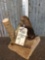 Baby Beaver Full Body Taxidermy Mount