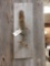 Grey Squirrel Climbing Taxidermy Mount