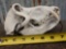 African Baboon Skull Taxidermy