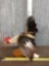 Bantam Rooster Taxidermy Mount
