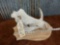 African Warthog Skull Taxidermy