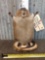 Attack Muskrat Full Body Taxidermy Mount