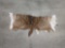 Axis Deer Back Skin Taxidermy