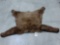Black Bear Rug Taxidermy