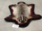 Badger Rug Taxidermy