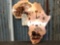 Nice African Wall Clock